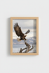 WildHorses_Play_199815-171209-S1U_closeup_shot1.png