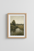 Wildflowers_Field_0356940-224833-9PV_closeup_shot1.png
