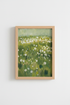 Wildflowers_Field_7878638-232359-8O5_closeup_shot1.png