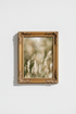 Wildflowers_Field_974594-174937-798_closeup_shot1.png