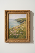 Wildflowers_Meadow_9983013-165855-6KF_closeup_shot1.png