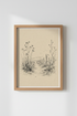 Wildflowers_Sketch_0027402-195448-T8J_closeup_shot1.png