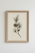 Pinecone Watercolor Wall Art | Rustic Botanical Poster, Nature Inspired Decor