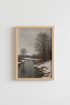 WinterForest_Snow_6594409-232359-8O5_closeup_shot1.png