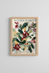 Winter_Market_Flowers_2254517-095219-NSC_closeup_shot1.png