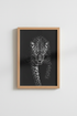 Zebra_Portrait_8309504-171242-QKY_closeup_shot1.png