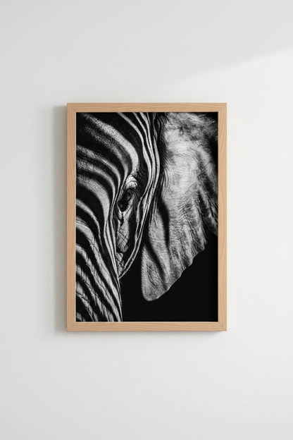 Zebra_Stripes_108885-135132-RWO_closeup_shot1.png