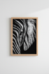 Zebra_Stripes_108885-135132-RWO_closeup_shot1.png