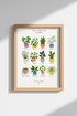 ZodiacFruitChart_3572632_mockup1_closeup.png