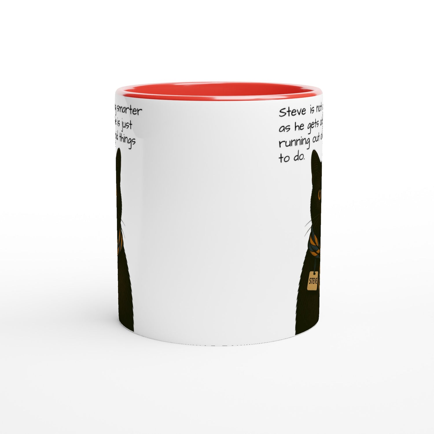 Steve Mysterious Cat Mug – Vintage Black Cat with Scarf – Funny 11oz Coffee Mug for Cat Lovers – Blank Name Tag – Quirky Animal Art Gift