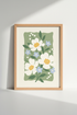 minimalist-floral-white-flowers-green-close-up-422998.png