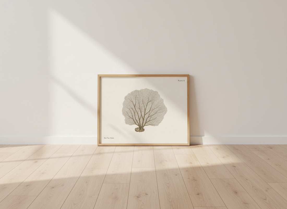 Vintage Coral Wall Art Print | Plate 6 Sea Fan Nautical Decor | Botanical Ocean Poster | Coastal Home Gift Idea