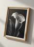 Minimalist Black & White Calla Lily Wall Art Print | Bedroom Decor | Modern Aesthetic Flower Poster Print