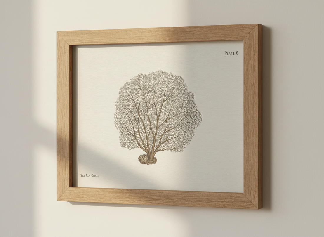 Vintage Coral Wall Art Print | Plate 6 Sea Fan Nautical Decor | Botanical Ocean Poster | Coastal Home Gift Idea