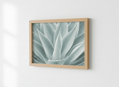 Abstract Botanical Wall Art Print | Minimalist Living Room Decor | Light Green Agave Leaf Poster | Modern Nature Gallery Wall