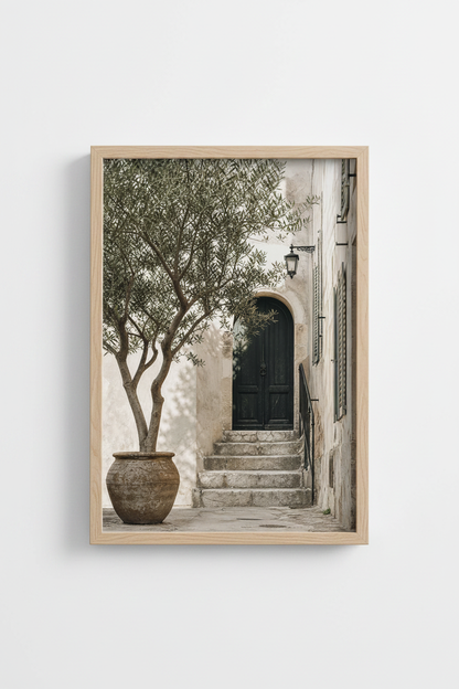 olive-tree-living-room-decor-close-up-d9830e.png