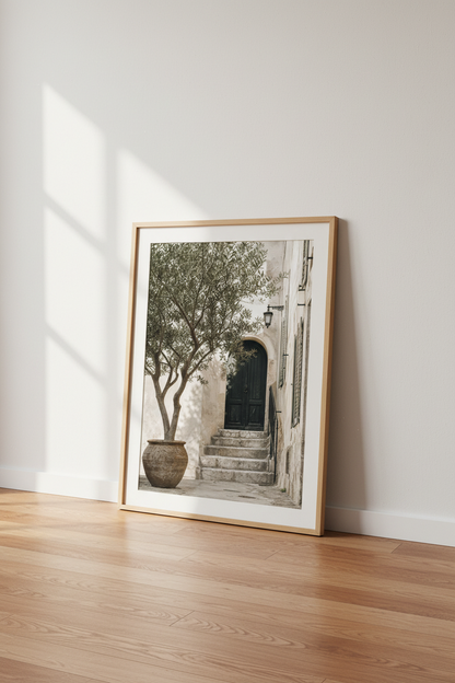 olive-tree-living-room-decor-on-the-floor-d9830e.png