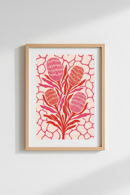 pink-protea-flower-australian-botanical-close-up-2af408.png