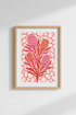 pink-protea-flower-australian-botanical-close-up-2af408.png